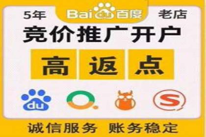 案例分析：SEM竞价代运营实现盈利增长